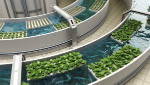 Aquaponics