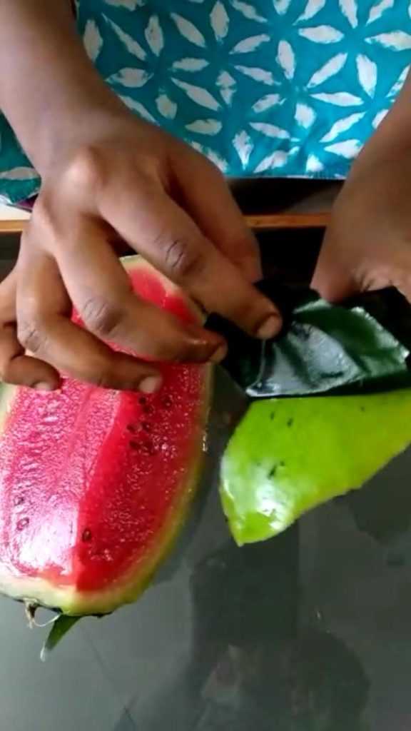 Watermelon Plastic Hoax