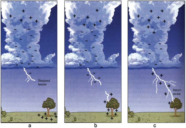 Lightning Fall