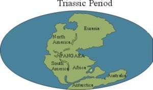 Triassic Map