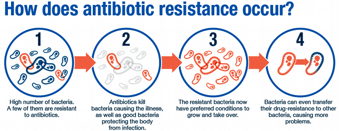 Antibiotic Resistance