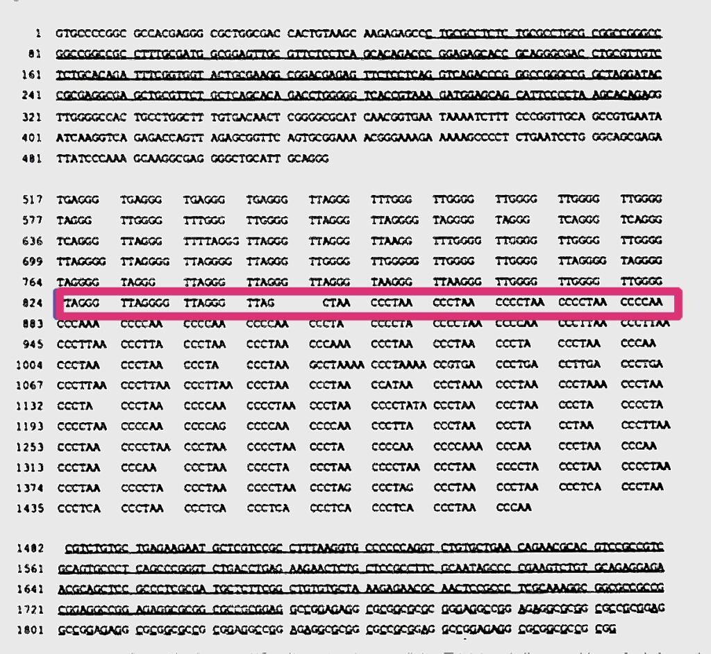 Human Chromosome Fusion Tag